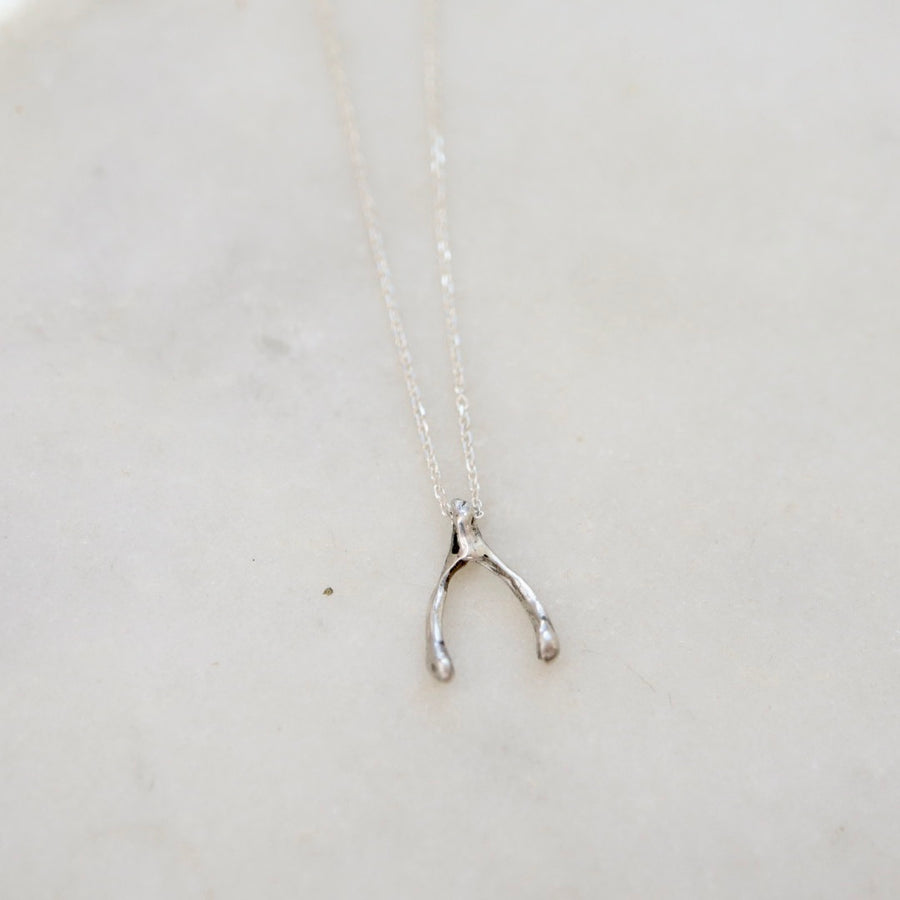 Silver Wishbone Necklace